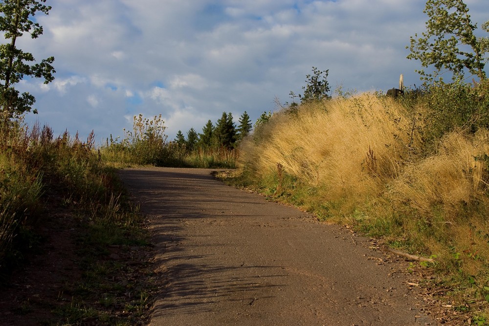 Feldweg im frühen Abendlicht....