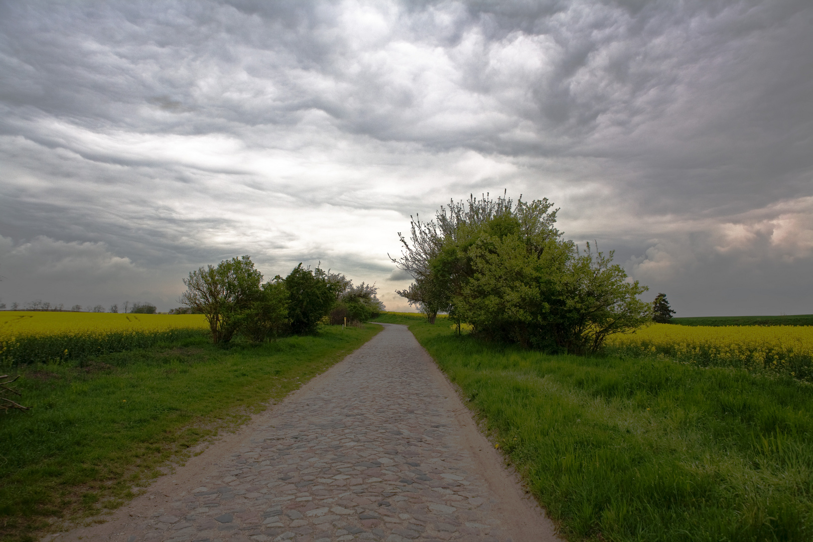 Feldweg im Frühjahr