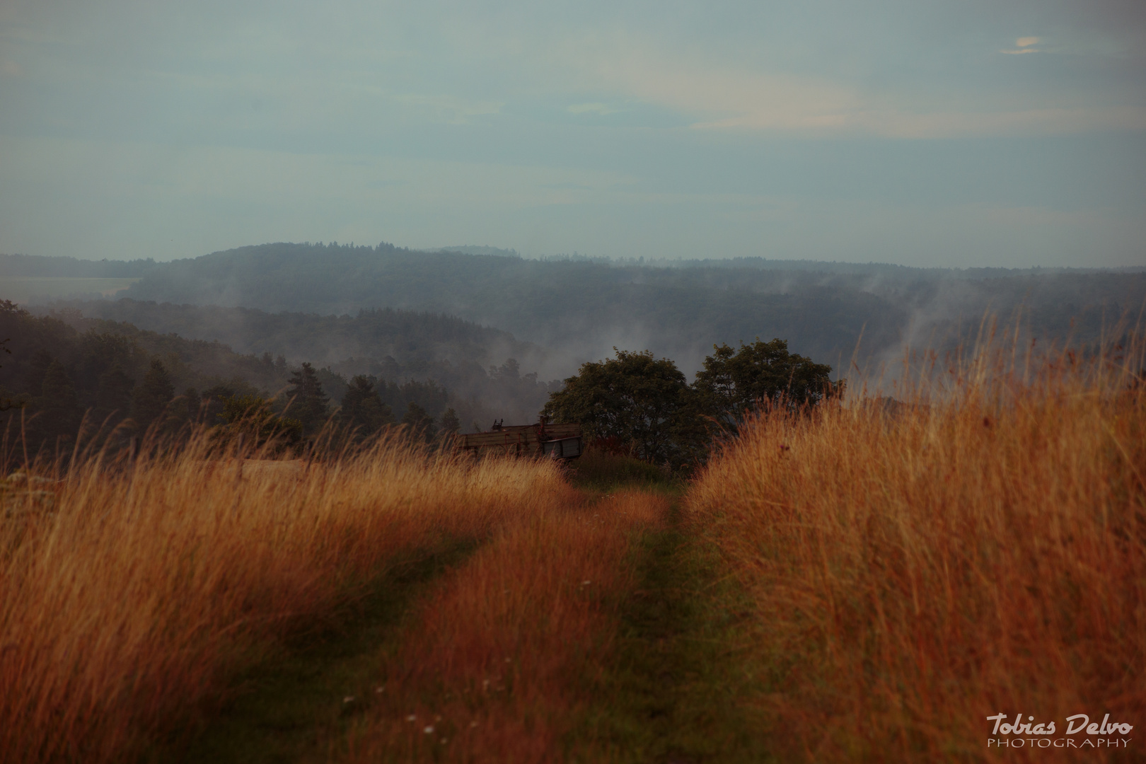 Feldweg im Herbst