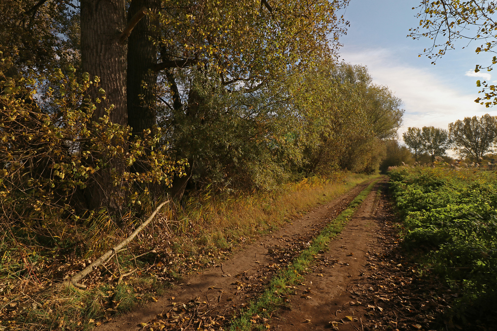 Feldweg im Herbst