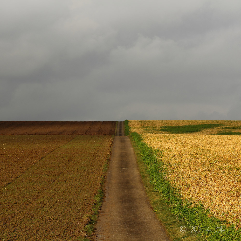 Feldweg im Januar