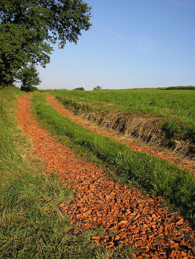 Feldweg im Licht