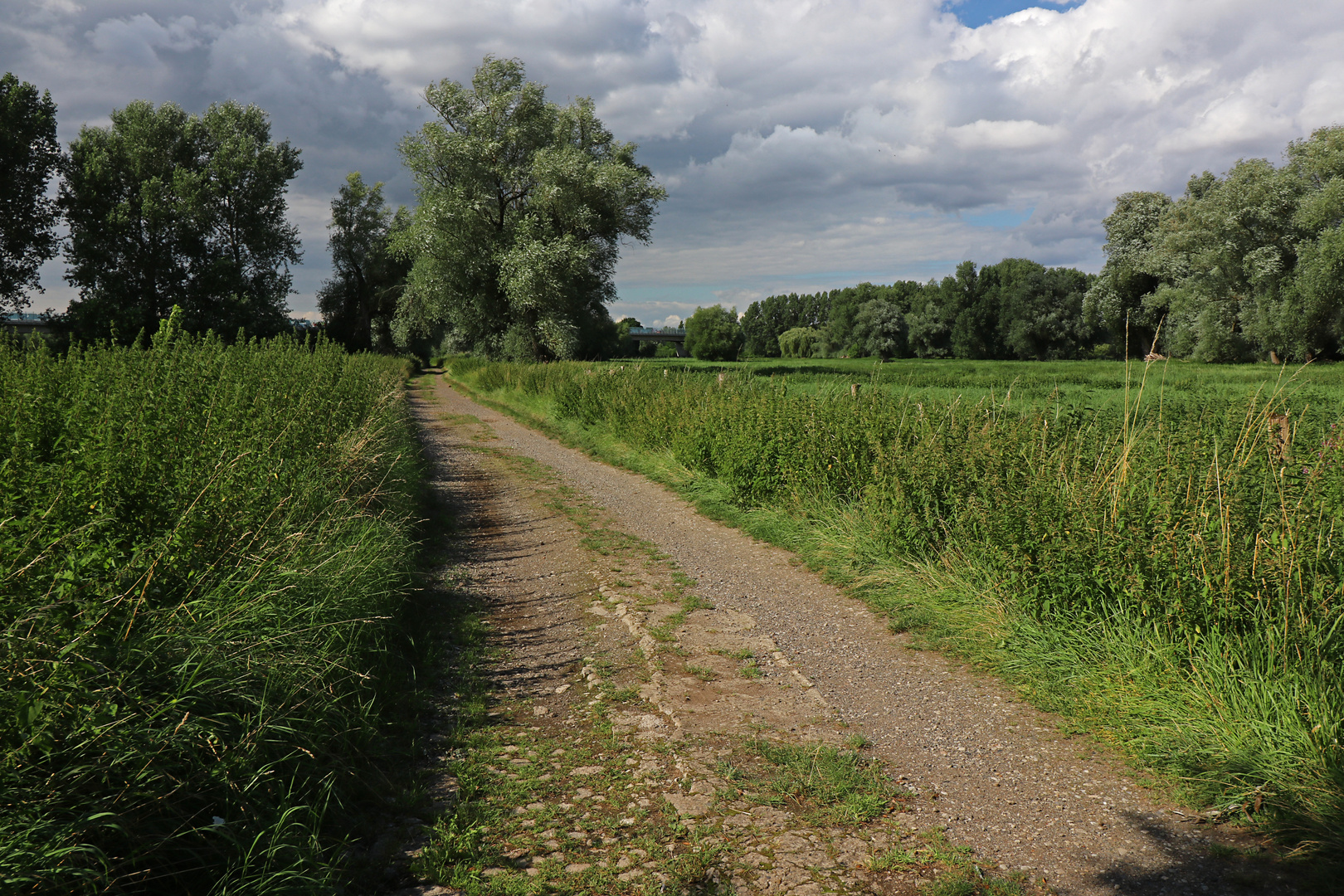 Feldweg im Licht