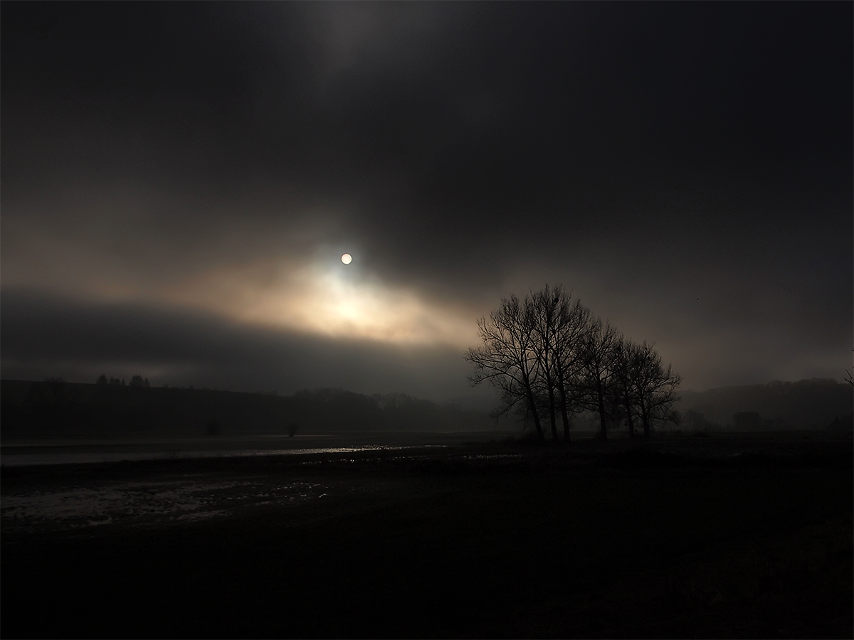 Feldweg im Nebel