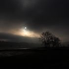 Feldweg im Nebel