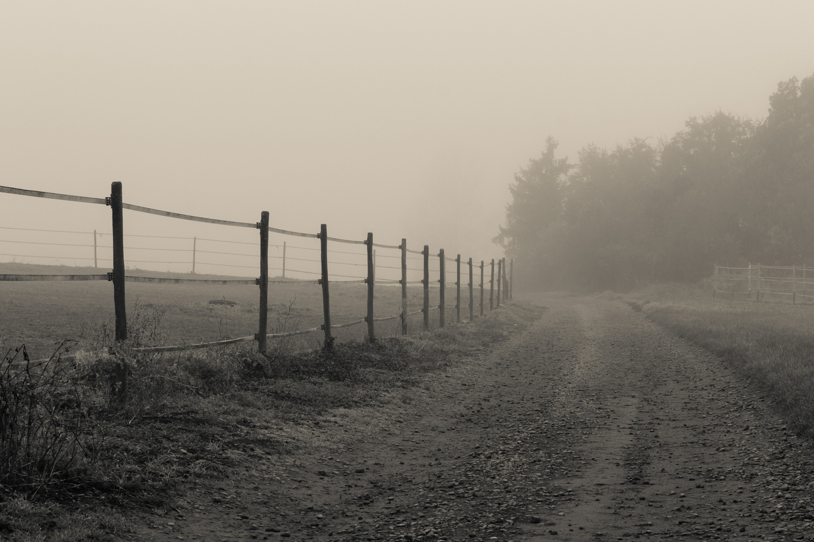 Feldweg im Nebel #3