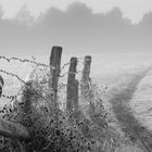 Feldweg im Nebel