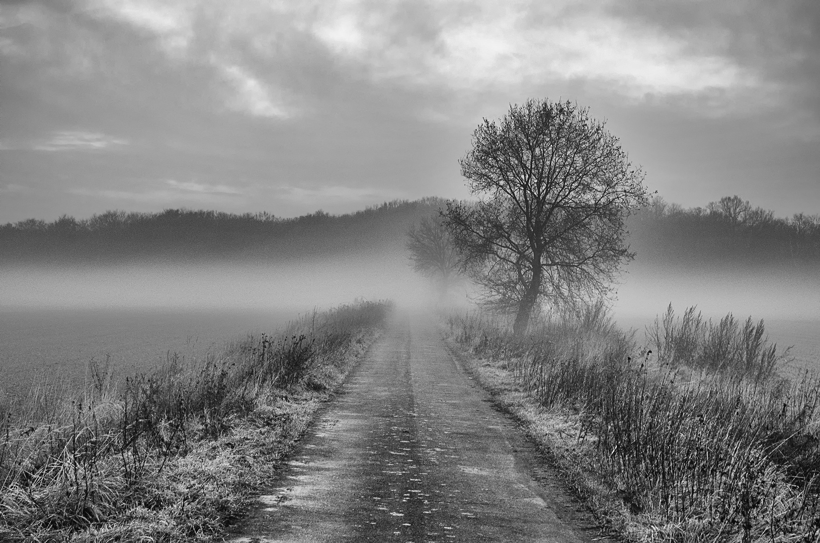 Feldweg im Nebel