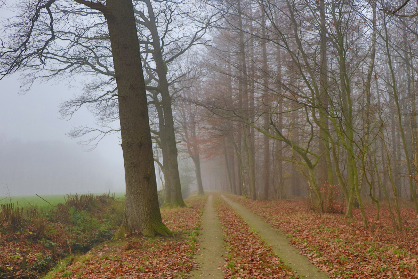 Feldweg im Nebel