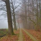 Feldweg im Nebel