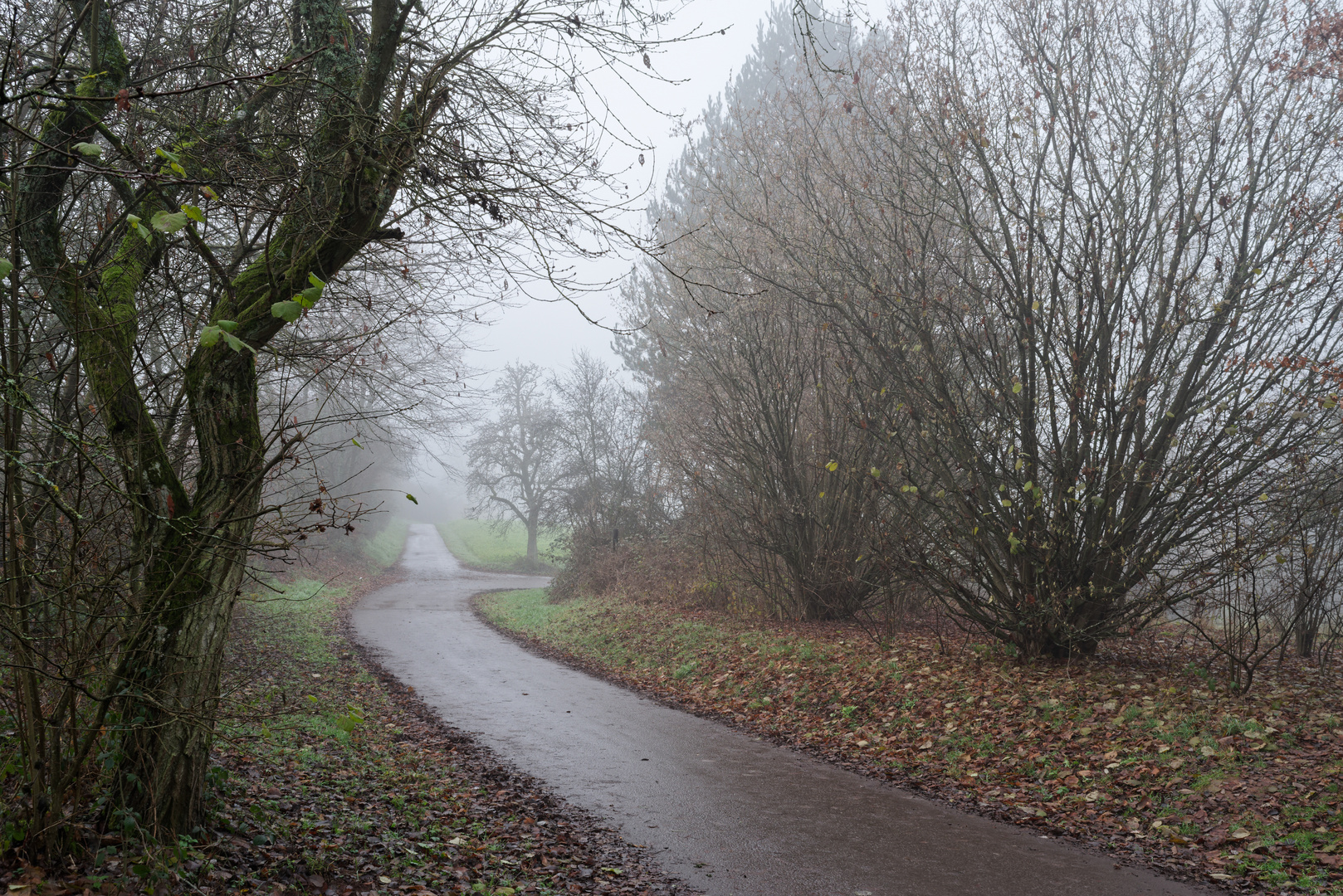 Feldweg im Nebel