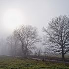 Feldweg im Nebel