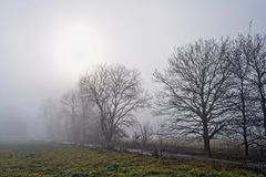 Feldweg im Nebel