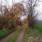 Feldweg im November