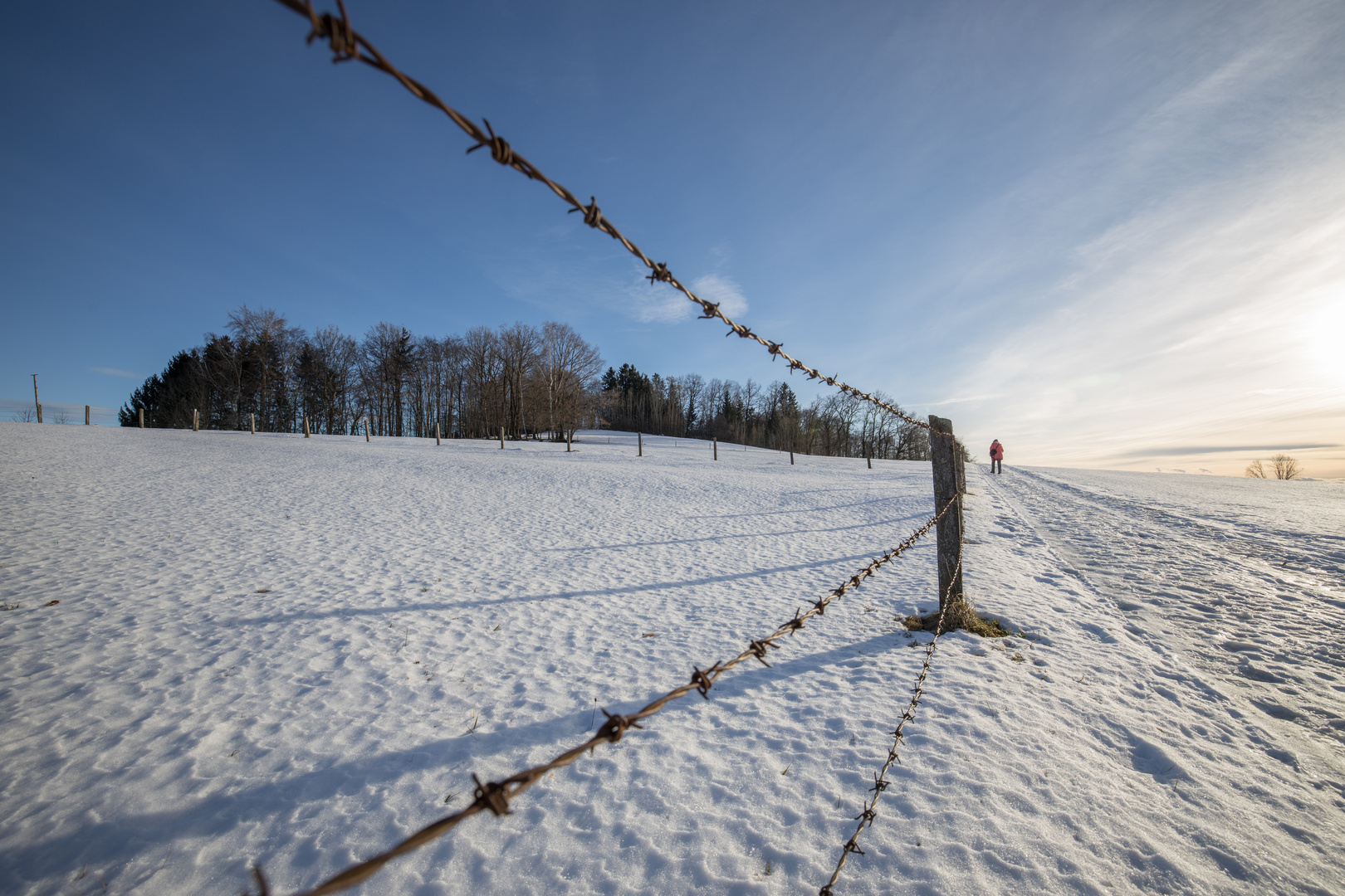 Feldweg im Schnee