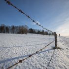 Feldweg im Schnee