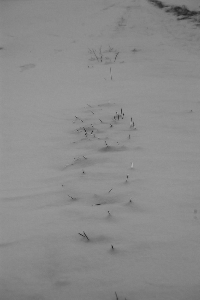 Feldweg im Schnee versunken!