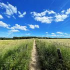 Feldweg im Sommer