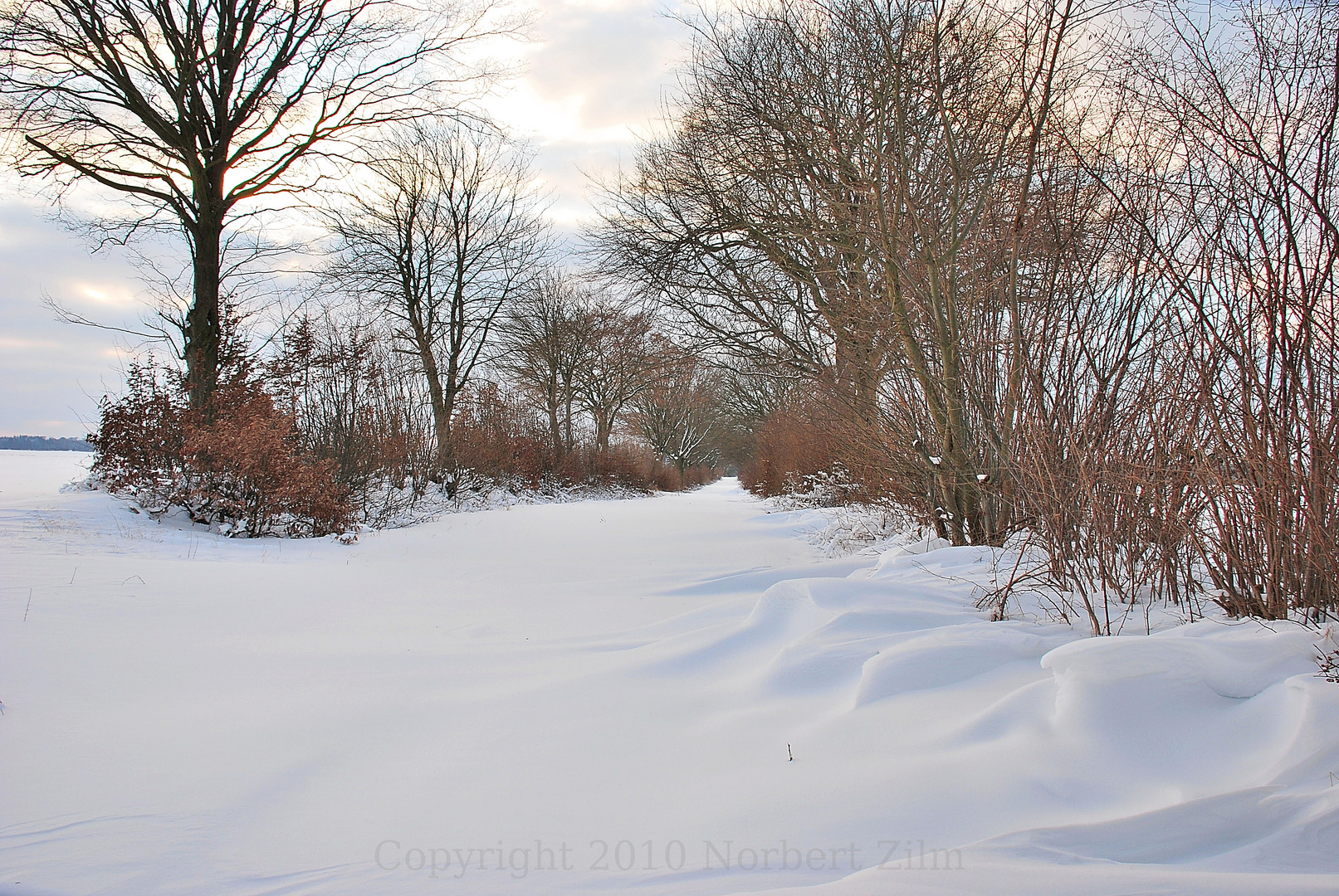 Feldweg im Winter