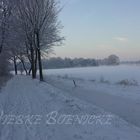 Feldweg im Winter