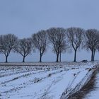 Feldweg im Winter