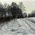 Feldweg im Winter