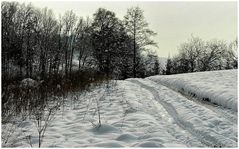 Feldweg im Winter