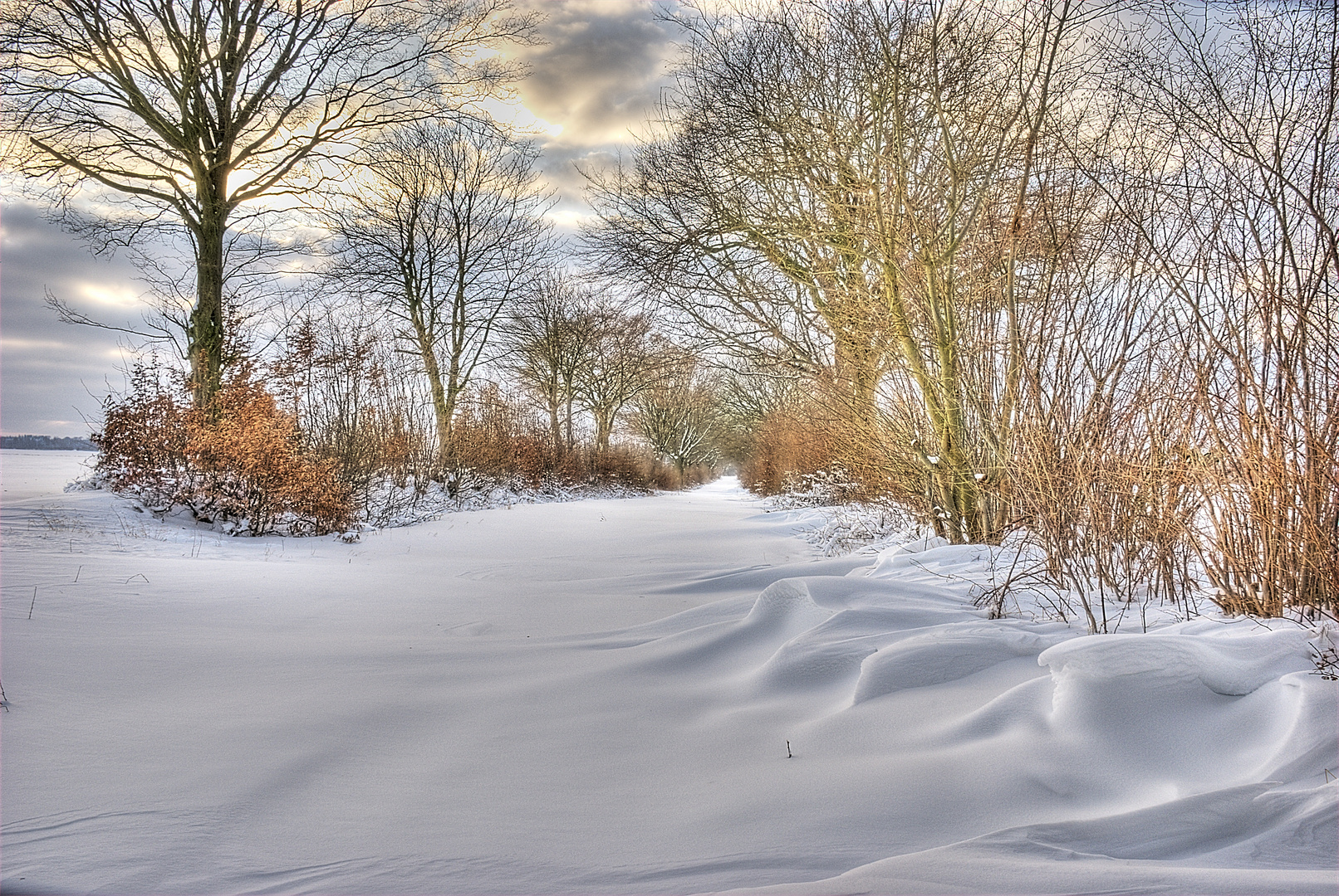 Feldweg im Winter HDR