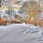 Feldweg im Winter HDR