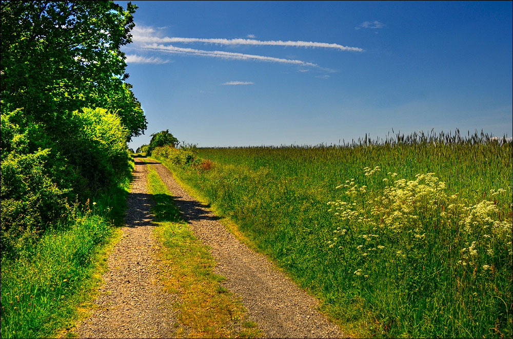 Feldweg in Bringhausen / Edertal von Thomas Münter 