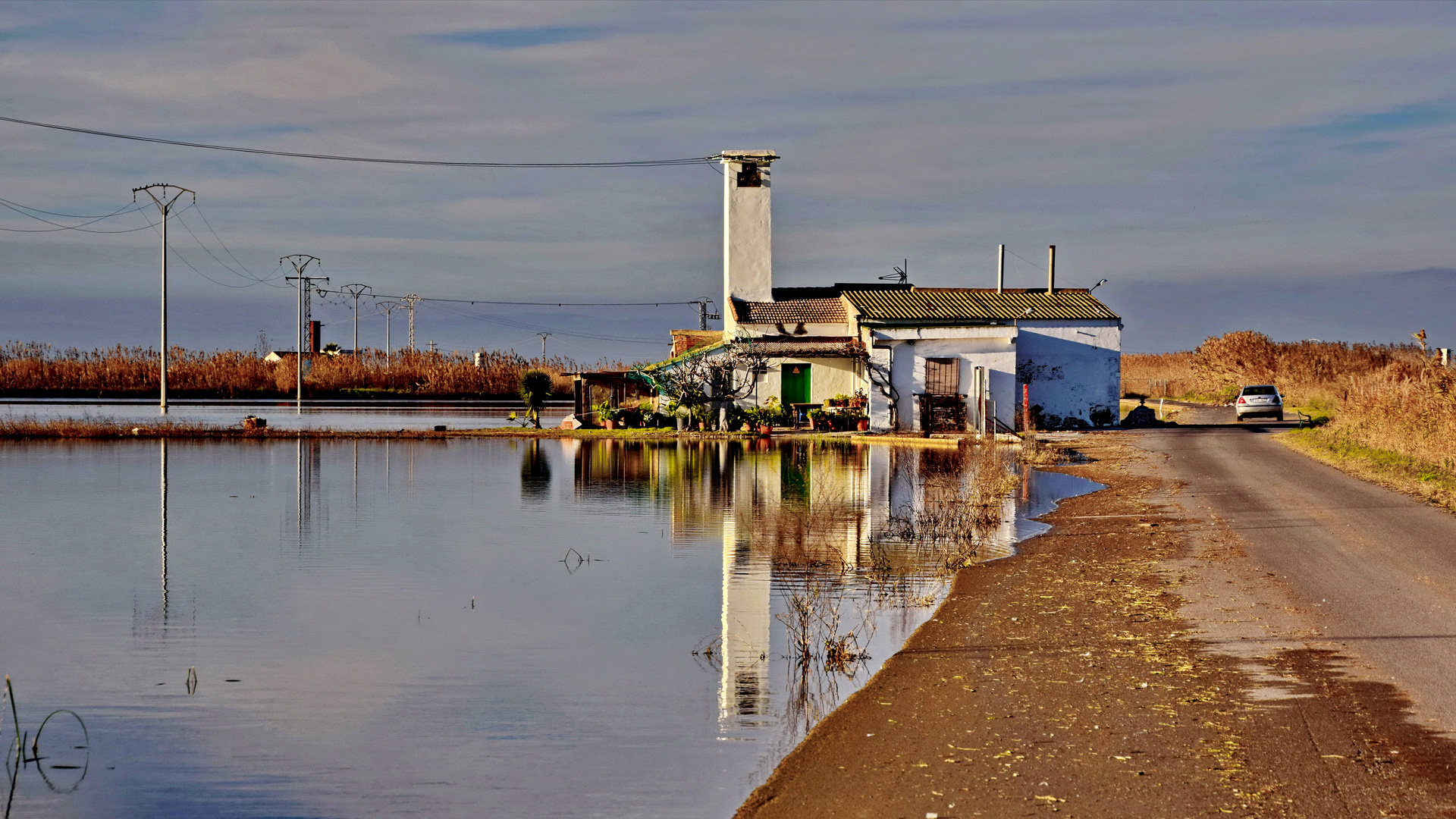 Feldweg in den Albufera Reisfeldern