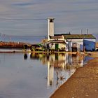 Feldweg in den Albufera Reisfeldern