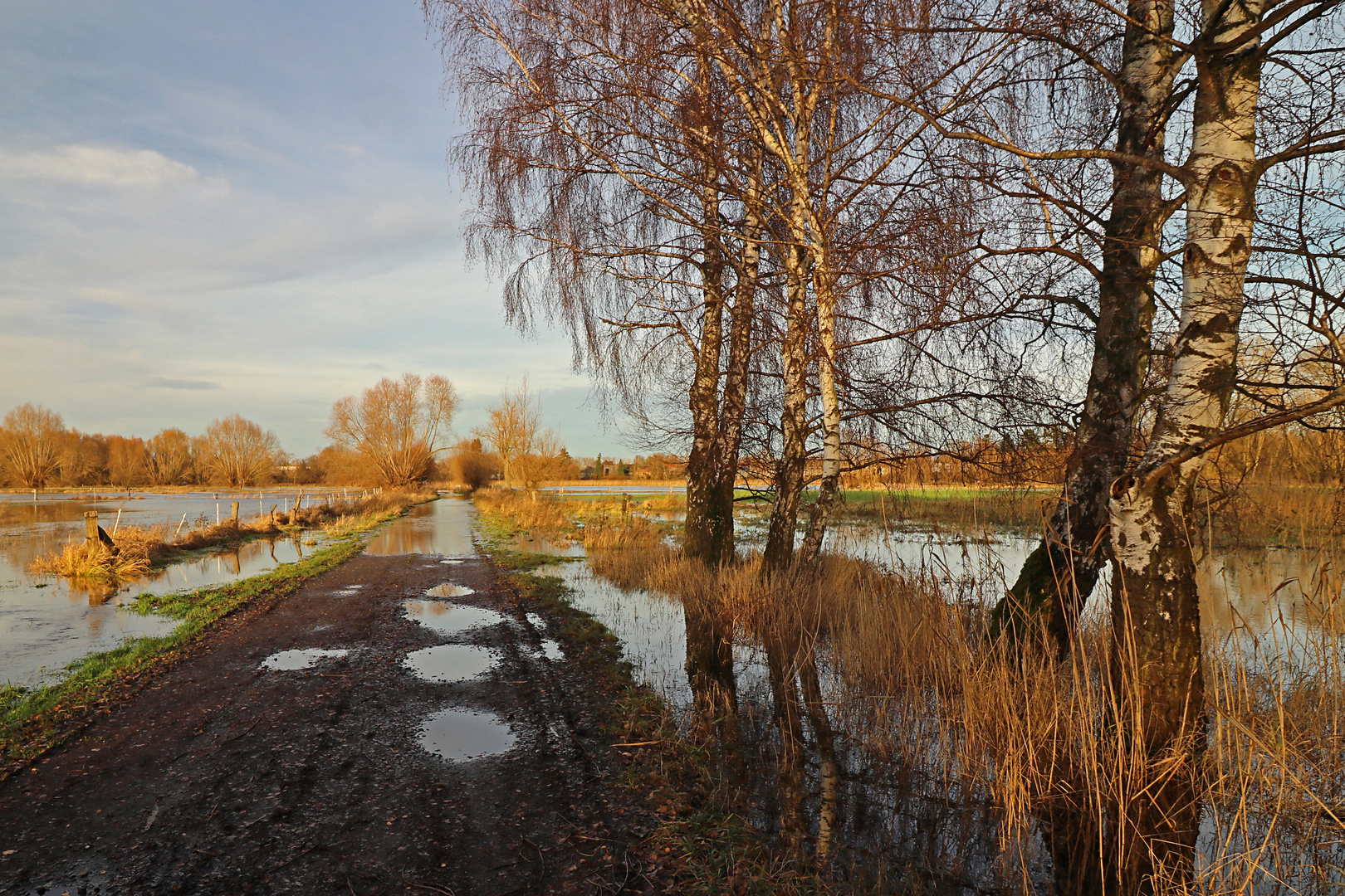 Feldweg in den Okerwiesen