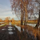 Feldweg in den Okerwiesen