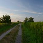 Feldweg in der Abendsonne