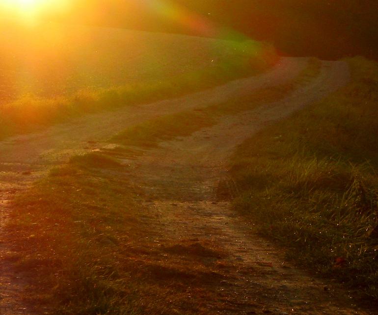 Feldweg in der Abendsonne