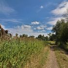 Feldweg in der Aue