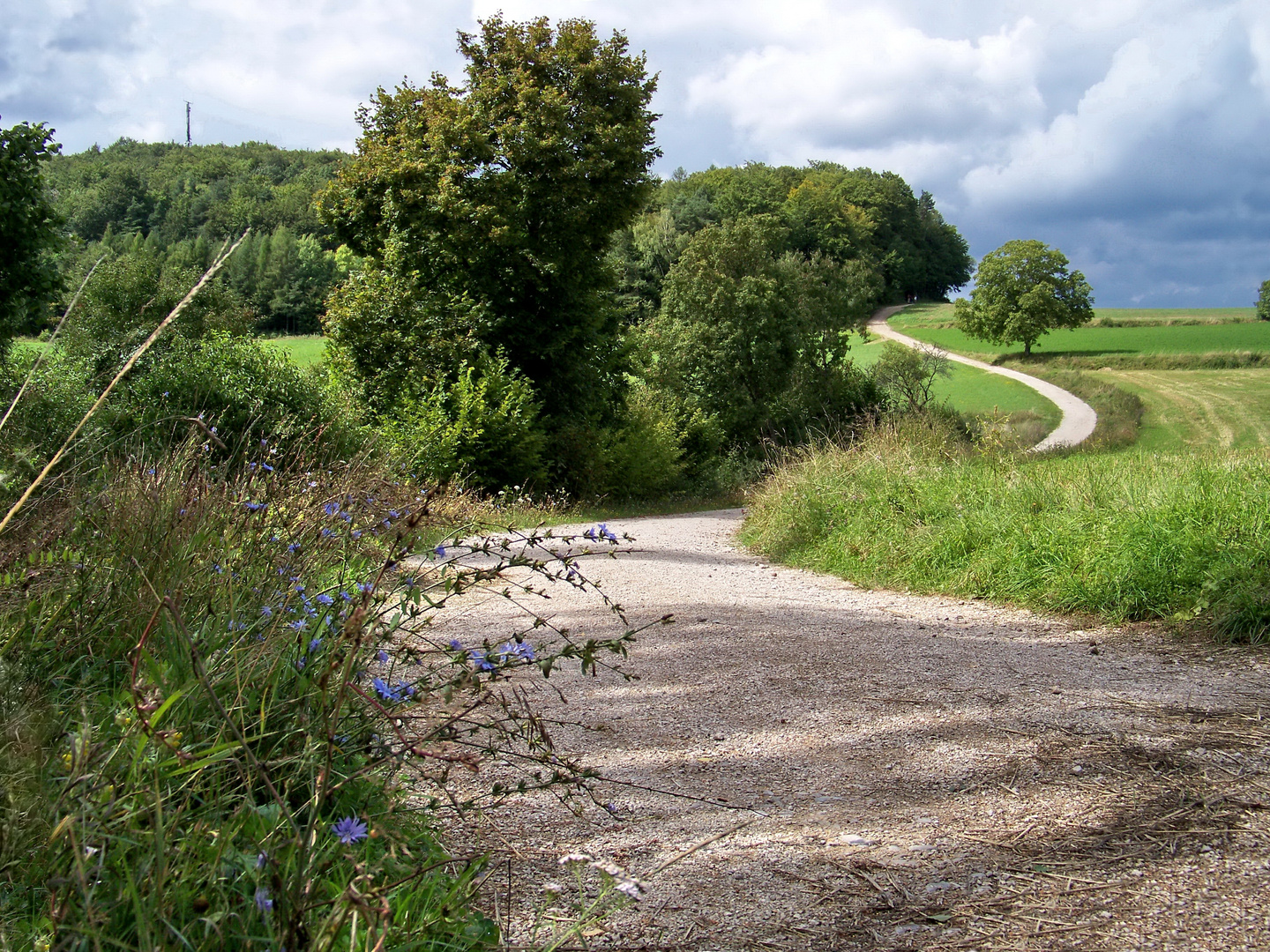 Feldweg in der fränkischen Schweiz