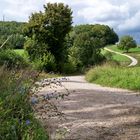 Feldweg in der fränkischen Schweiz