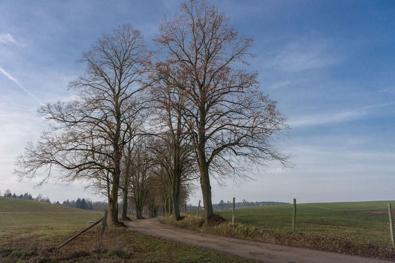 Feldweg in der Märkischen Schweiz