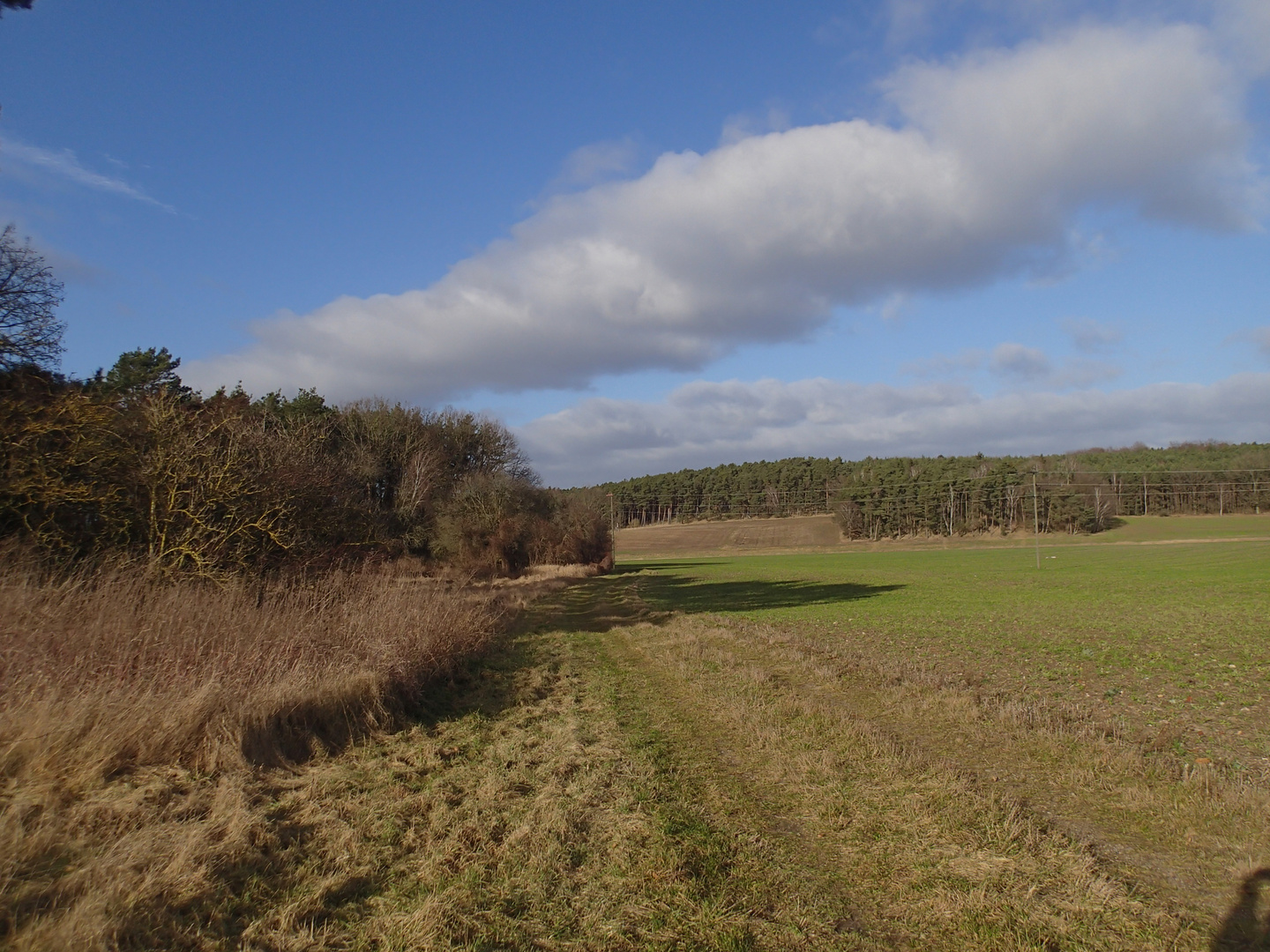 Feldweg in der Sonne