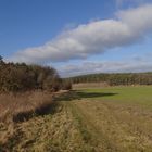 Feldweg in der Sonne