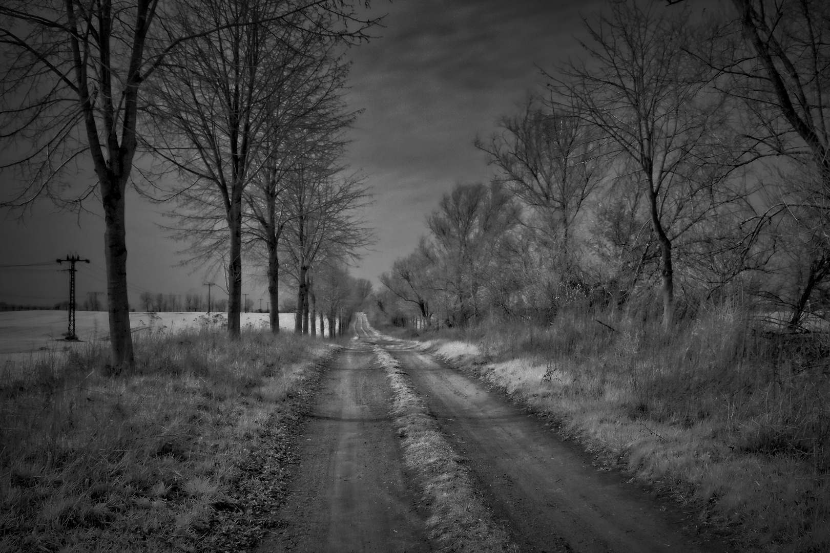 Feldweg in der Uckermark