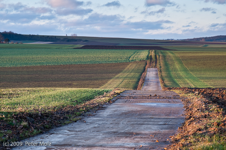 Feldweg in der winterlichen Spätnachmittagssonne