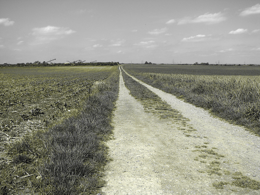 Feldweg in Hitdorf