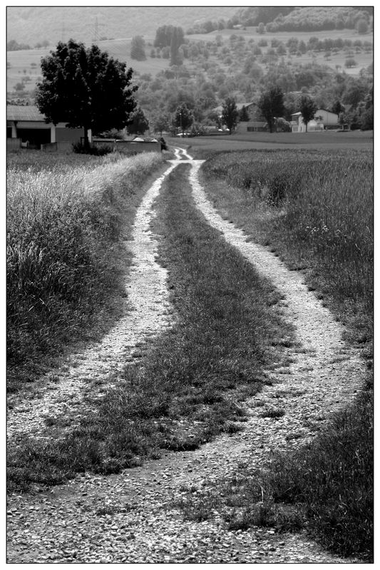 Feldweg in Owen/Teck (Württemberg)