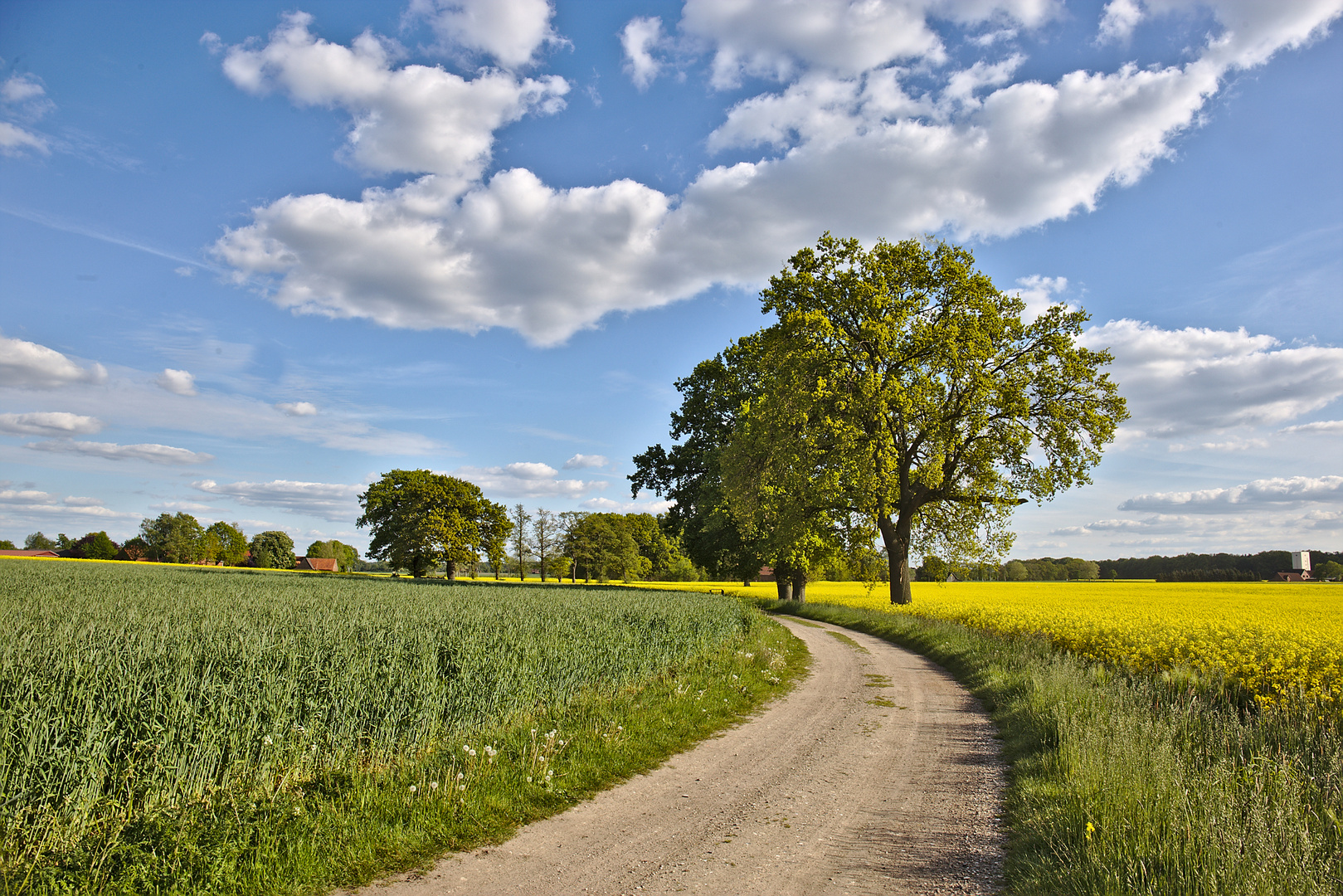 Feldweg in Süstedt