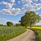 Feldweg in Süstedt