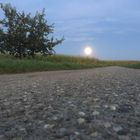 Feldweg mit Vollmond