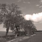 Feldweg mit Wolke